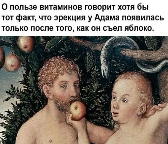 О пользе витаминов говорит хотя бы тот факт что эрекция у Адама появилась только после того как он съел яблоко