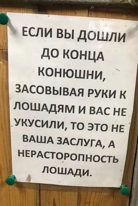 если вы дошли до концА конюшни ЗАСОВЫВАЯ руки к лошддям и вдс нв укусили то это не ВАША 3АСЛУГА А НЕРДСТО_Ропность ЛОШАди_