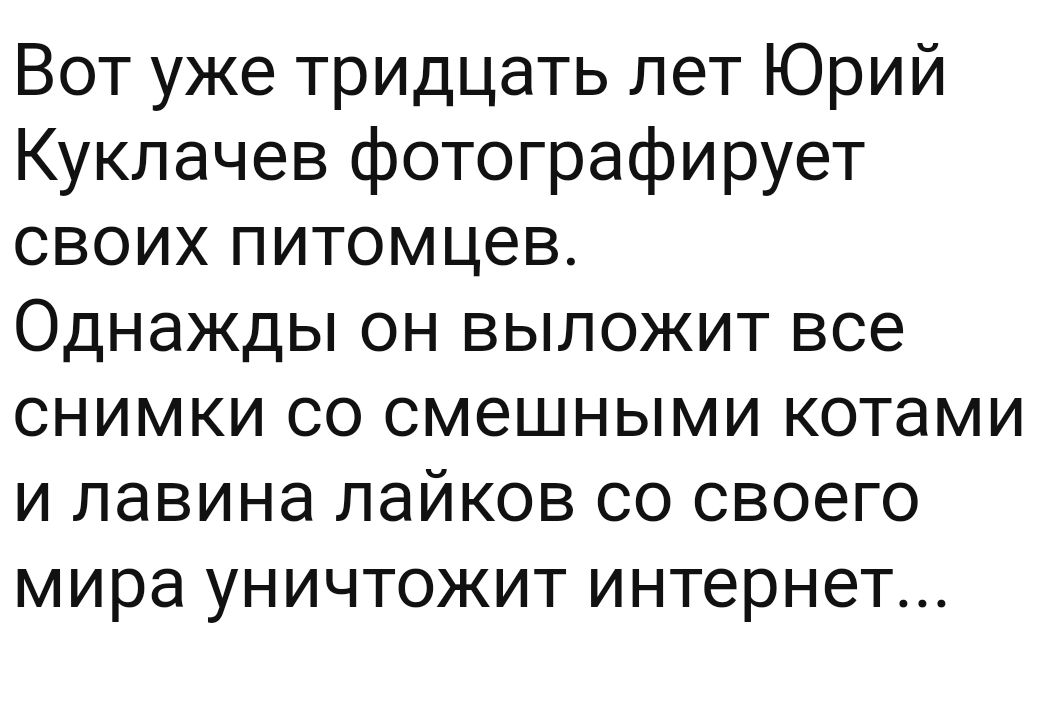 Вот уже тридцать лет Юрий Куклачев фотографирует своих питомцев Однажды он выложит все снимки со смешными котами и лавина лайков со своего мира уничтожит интернет