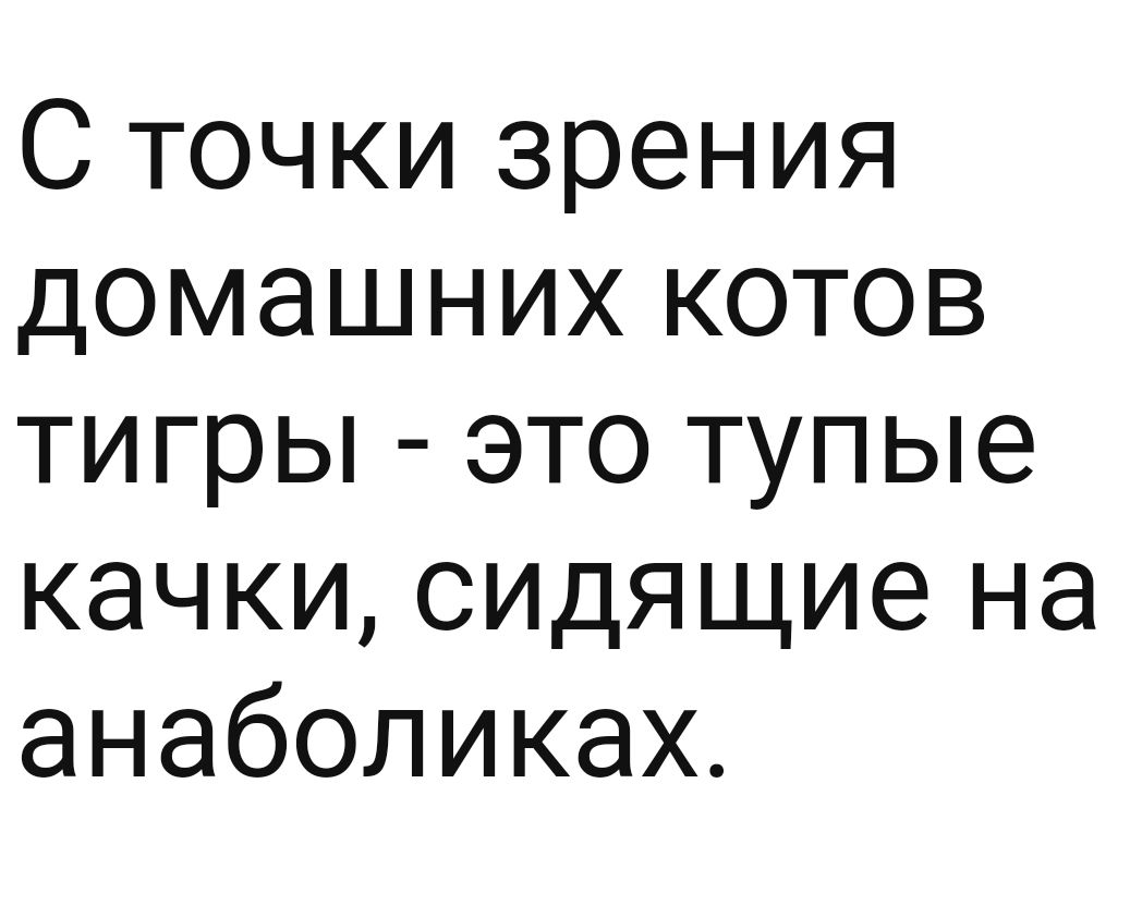 С точки зрения домашних котов тигры это тупые качки сидящие на анаболиках