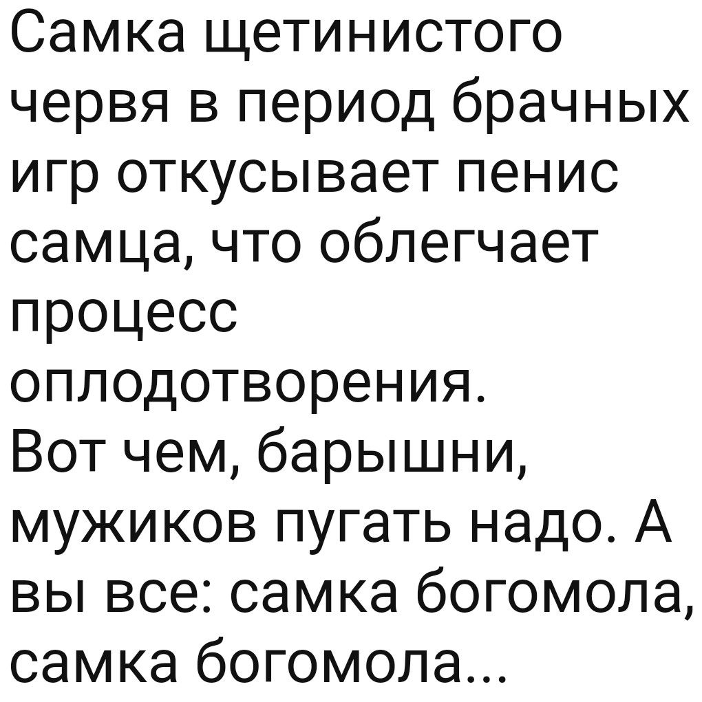 Самка щетинистого червя в период брачных игр откусывает пенис самца что  облегчает процесс оплодотворения Вот чем барышни мужиков пугать надо А вы  все самка богомола самка богомола - выпуск №1371047