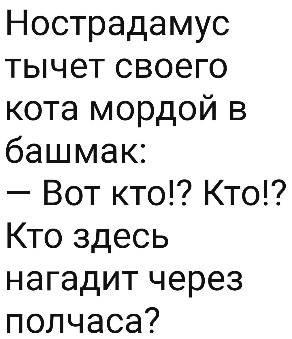 Нострадамус тычет своего кота мордой в башмак Вот кто Кто Кто здесь нагадит через полчаса