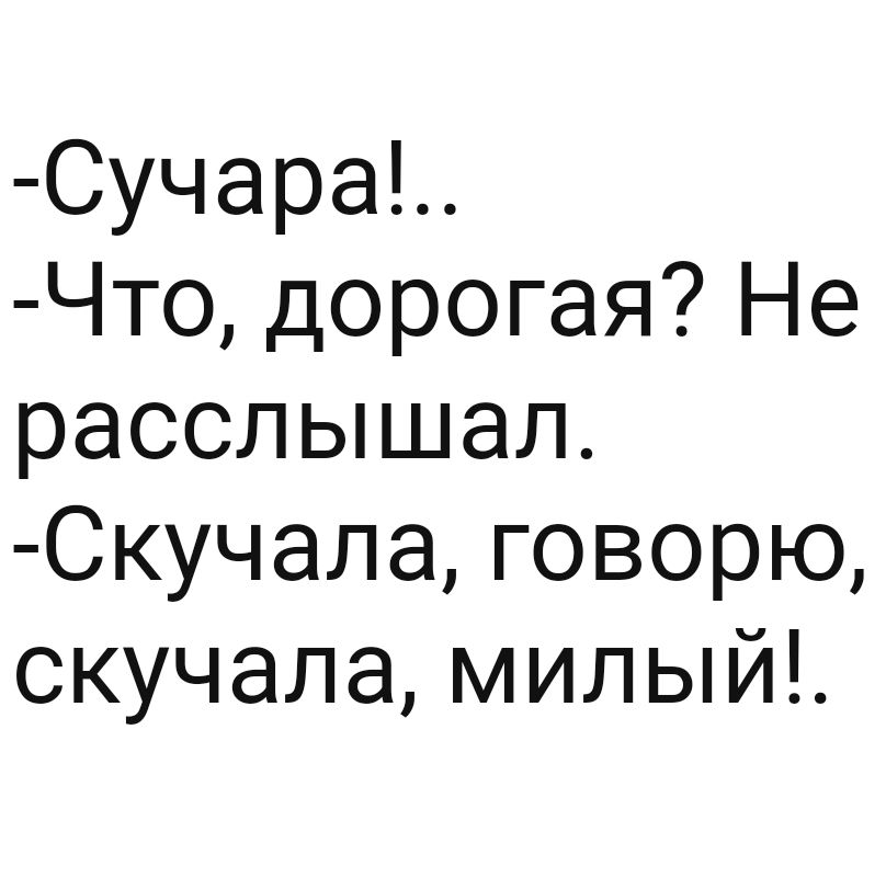 СучараЪ Что дорогая Не расслышал Скучала говорю скучала милый