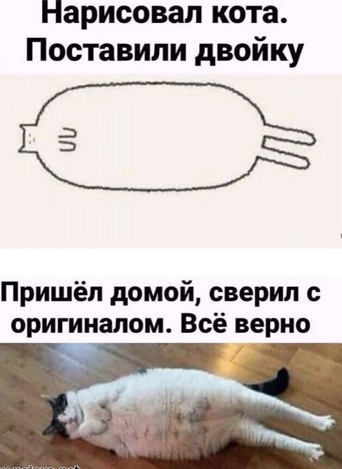 Нарисовал кота Поставили двойку Пришёл домой сверип с оригиналом Всё ворно