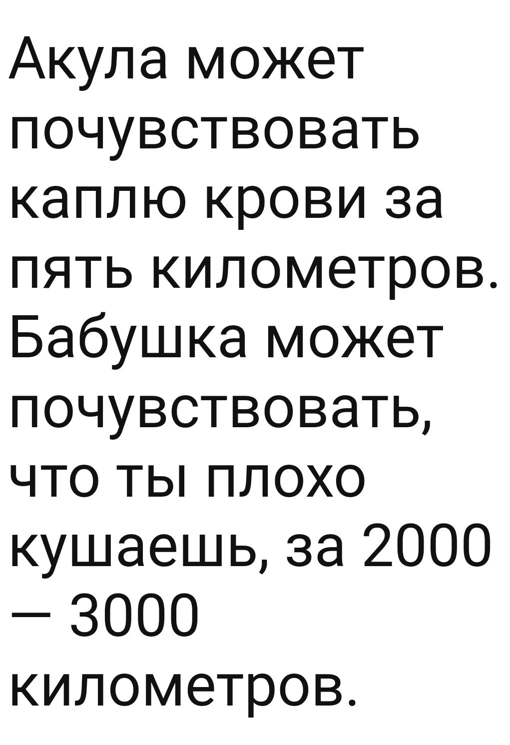 Акула может почувствовать каплю крови за пять километров Бабушка может почувствовать что ты плохо кушаешь за 2000 3000 километров