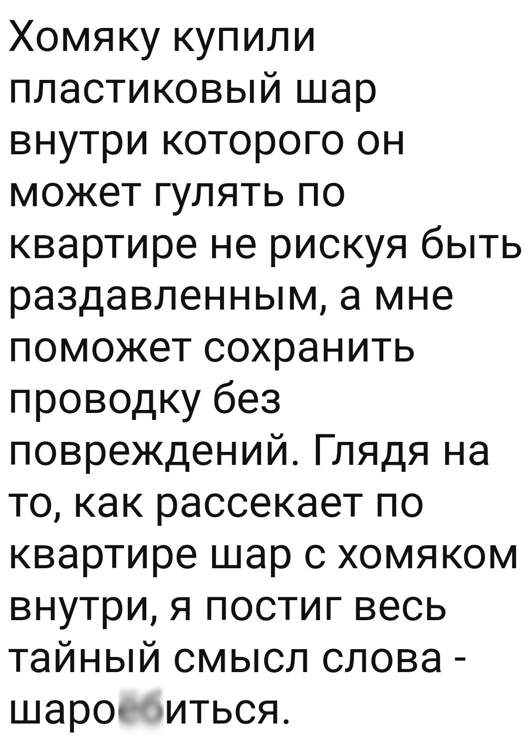 Хомяку купили пластиковый шар внутри которого он может гулять по квартире не рискуя быть раздавленным а мне поможет сохранить проводку без повреждений Глядя на то как рассекает по квартире шар с хомяком внутри я постиг весь тайный смысл слова шаровфиться