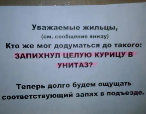 Уважаемые жильцы спи соибщпии яиц у Кто же мог додуматься до мхом ЗАПИХНУП ЦЕПУЮ КУР УМИТАЗ Топерь долго буден иующий иш