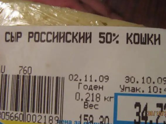 СЫР РОССИЙСКИМ 507 КОШКИ и 60 тілжииииткёёёз