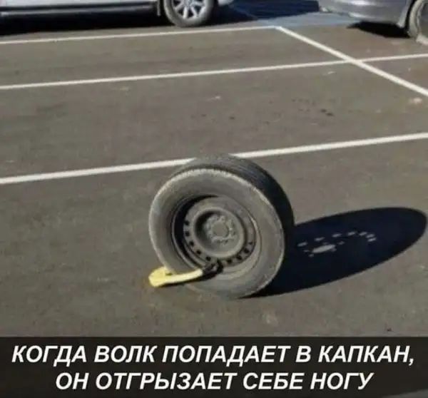 КОГДА ВОЛК ПОПАДАЕТ В КАПКАН ОН ОТГРЫЗАЕТ СЕБЕ НОГУ _