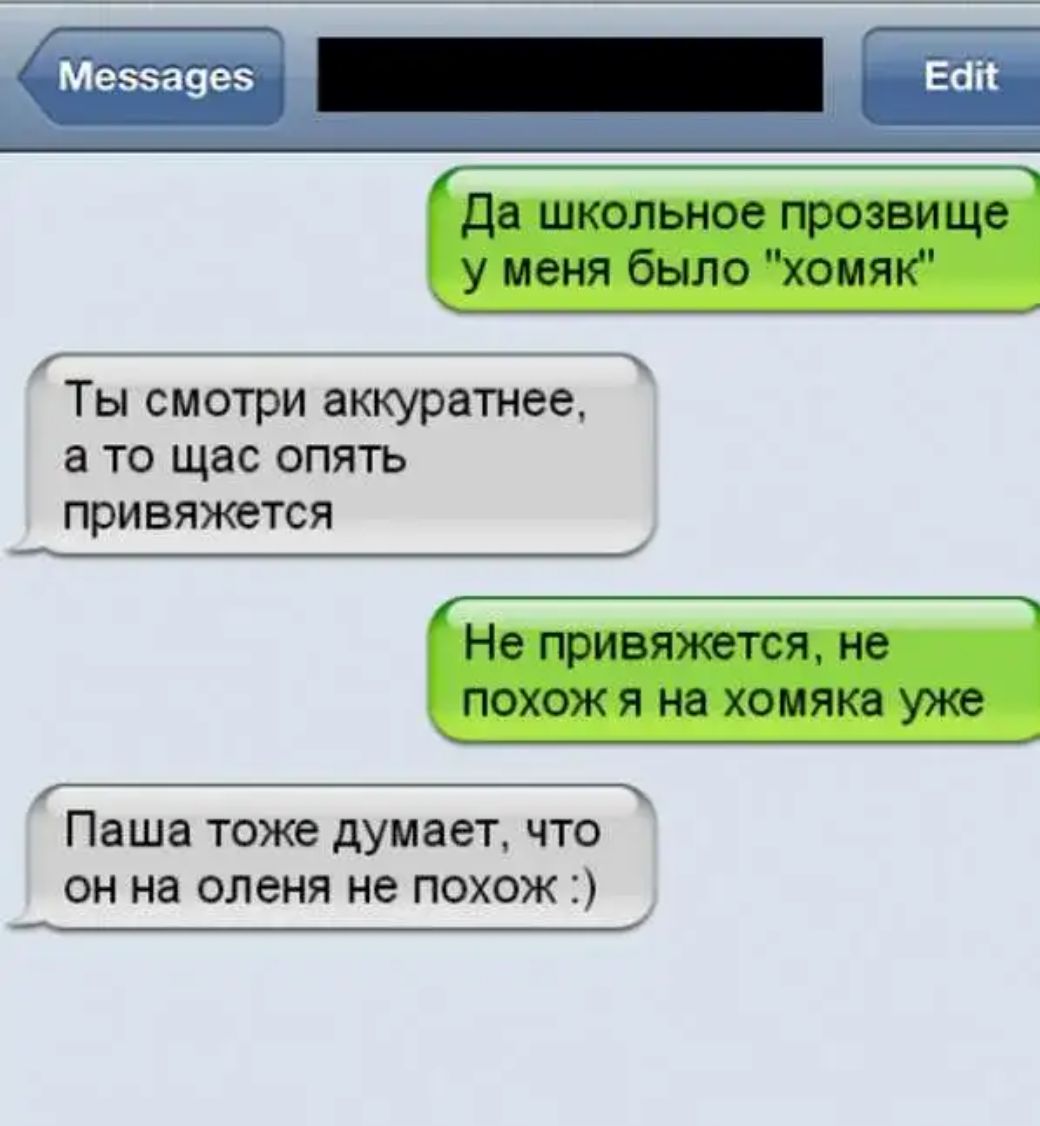 Мевзауеэ вап Ты смотри аккуратнее 8 ТО щас ОПЯТЬ привяжется _ Паша тоже думает что ОН на оленя не ПОХОЖ