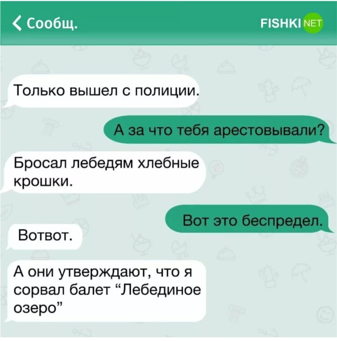 Р5НК НЕ ТОЛЬКО вышел полиции Бросая лебедям хлебные крошки А они утверждают что сорвал балет Лебединое озеро Встает