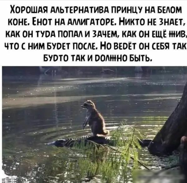ХОРОШАЯ ААЬТЕРНАТИВА ПРИНЦУ НА БЕЛОМ КОНЕ ЕНОТ НА АМИАТОРЬ НИКТО НЕ ЗНАЕТ КАК ОН ТУОА ПОПАЛ И ЗАЧЕМ КАК ОН ЕЩЁ МИЗ ЧТО НИМ БУОЕТ ПОСЛЕ НО ВЕОЁТ ОН СЕБЯ ТАК БУОТО ТАК И ООМИНО БЫТЬ