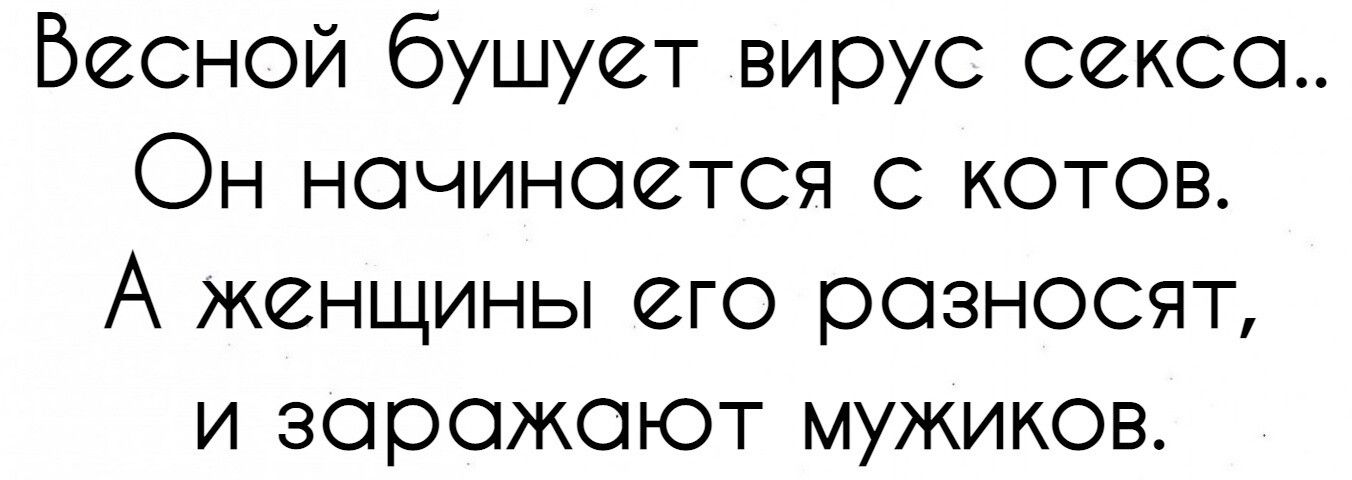 Бесной бушует вирус секса Он начинается с котов А женщины его разносят и заражают мужиков