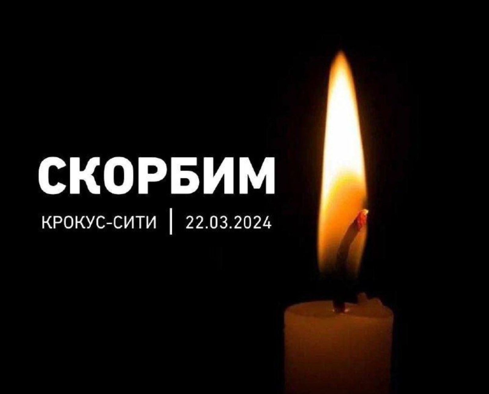 СКОРБИМ КРОКУСЙСИТИ 2203202А