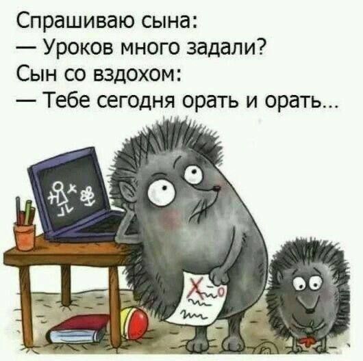 Спрашиваю сына Уроков много задали Сын со вздохом Тебе сегодня орать и орать