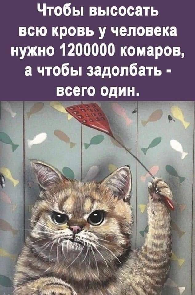 Чтобы высосать всю кровь у человека нужно 1200000 комаров а чтобы задолбать всего один