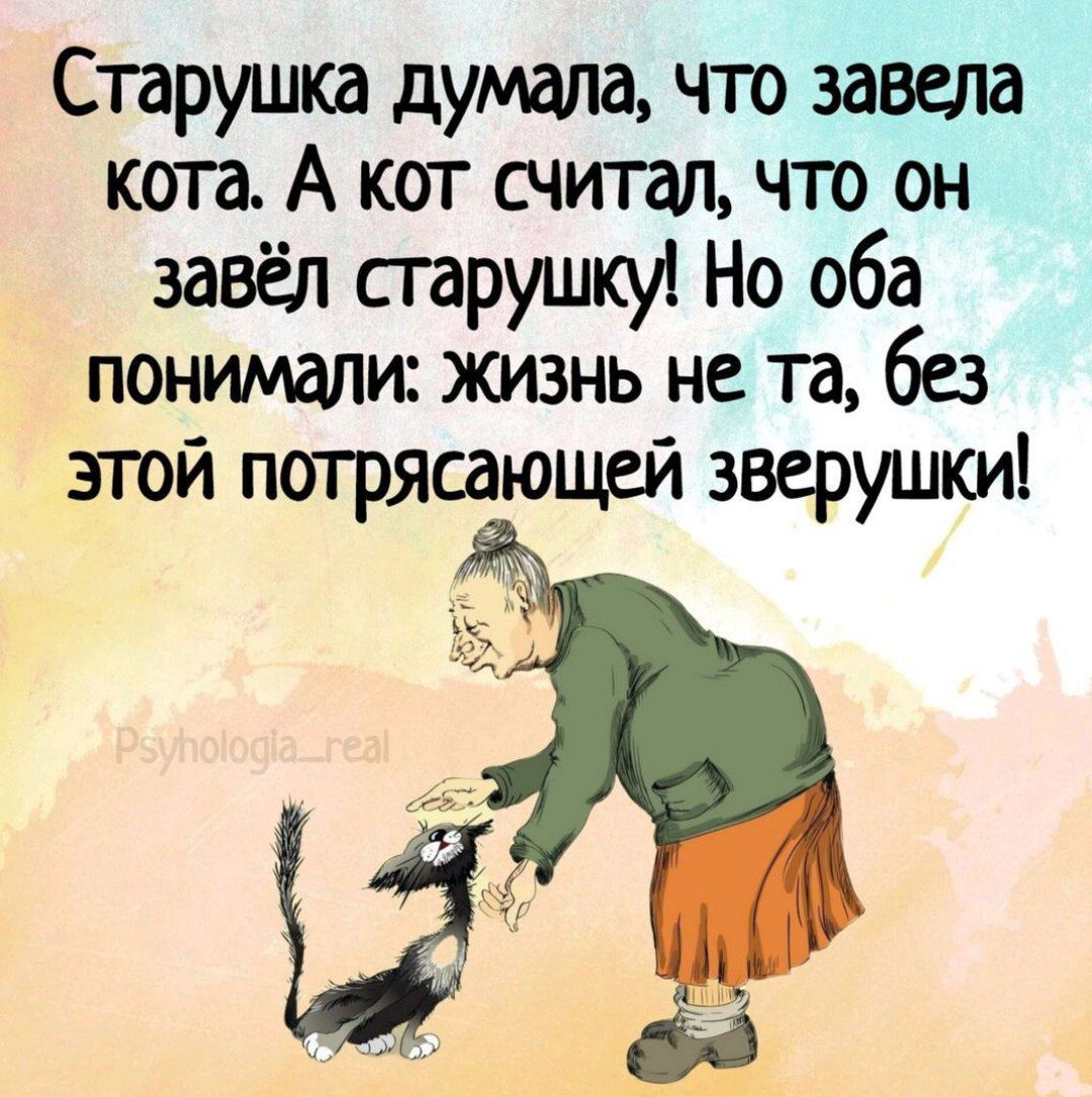 Старушка думала гго завела ката А кот считал что он завёл старушку Но оба понимали жизнь не та без згой потрясающей зверушки