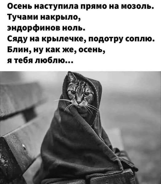 Осень наступила прямо на мозоль.
Тучами накрыло,
эндорфинов ноль.
Сяду на крышечке, подотру соплю.
Блин, ну как же, осень,
я тебя люблю...
