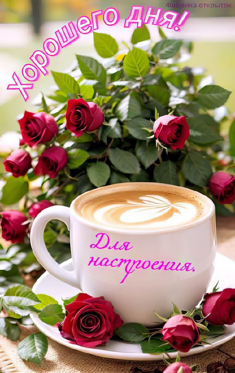 Хорошего дня!
Для настроения.