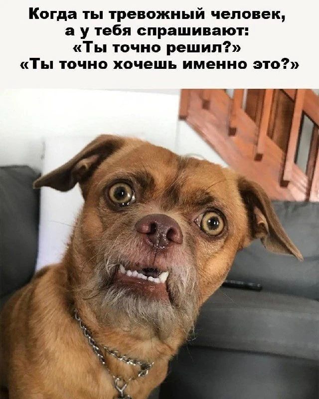 Когда ты тревожный человек, а у тебя спрашивают: «Ты точно решил?» «Ты точно хочешь именно это?»