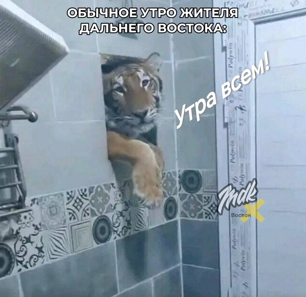 ОБЫЧНОЕ УТРО ЖИТЕЛЯ ДАЛЬНЕГО ВОСТОКА: Утро всем!