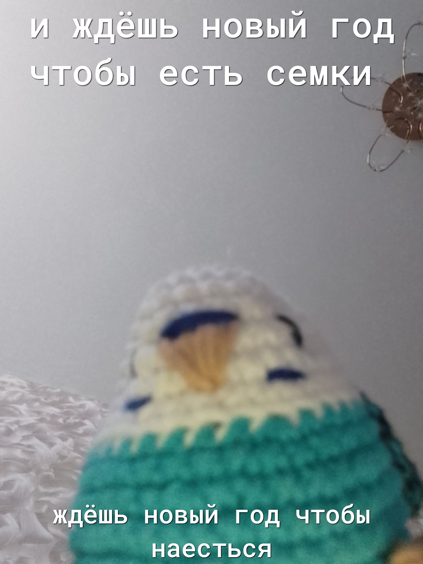 _ т С і ЪН пешь новый год чтобы наесться