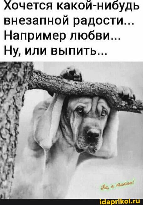 Хочется какой нибудь внезапной радости Например любви Ну или выпить
