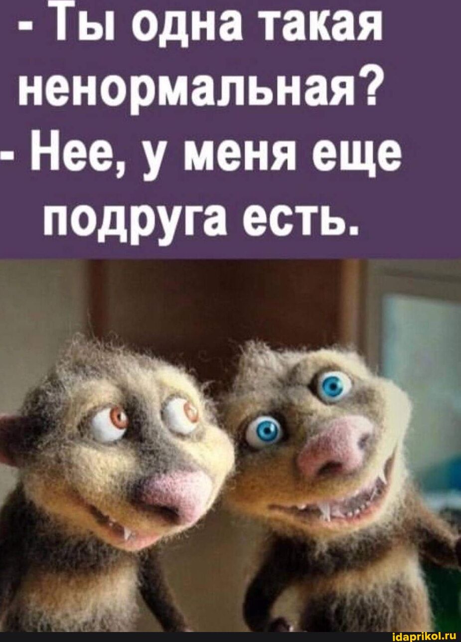 Ты одна такая ненормальная Нее у меня еще подруга есть