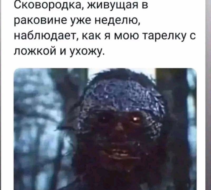 ковородка живущая в раковине уже неделю наблюдает как я мою тарелку с ложкой и ухожу ша