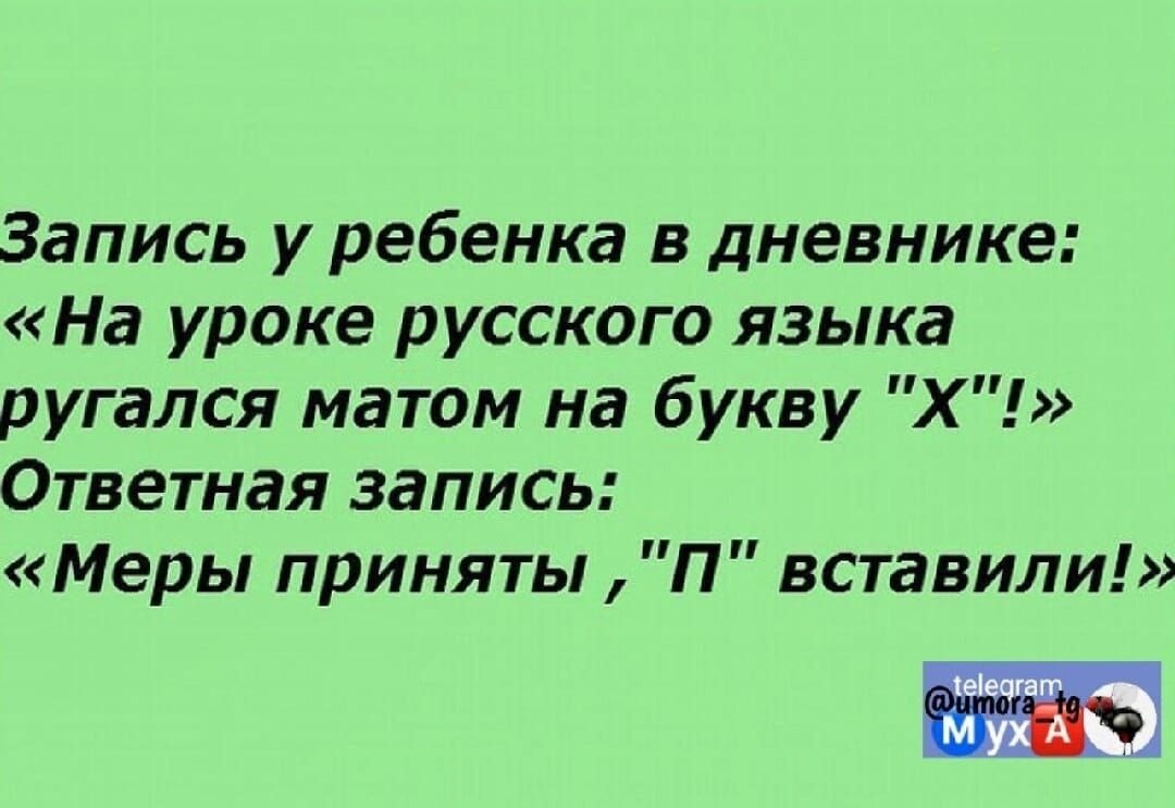 Запись у ребенка в дневнике На уроке русского языка ругался матом на букву Х Ответная запись Меры приняты П вставили