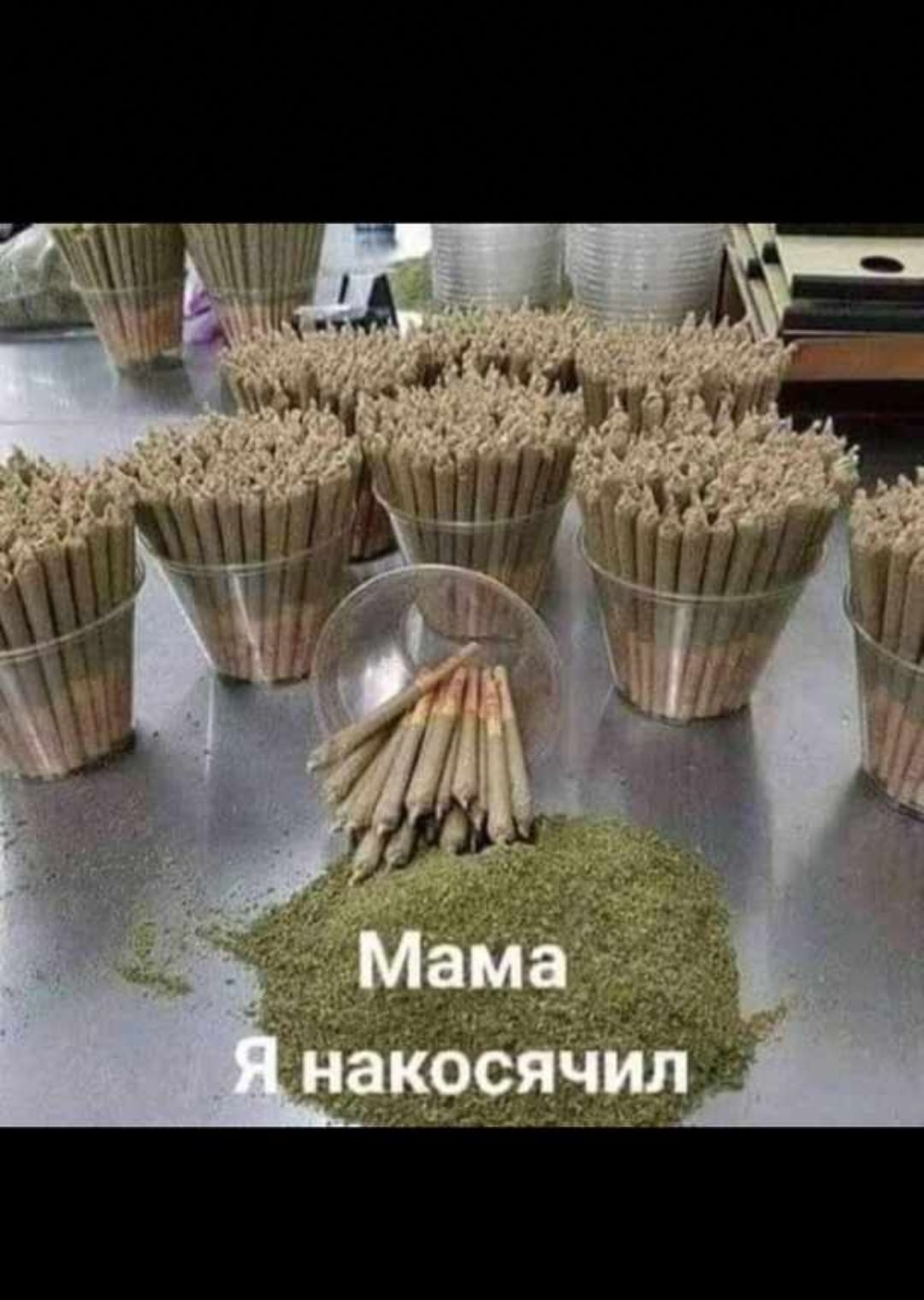 ННП А Мир __ 1