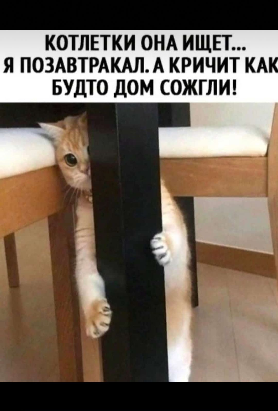 КОТЛЕТКИ ОНА ИЩЕТ Я ПОЗАВТРАКАЛ А КРИЧИТ КА БУДТО ДОМ СОЖГЛИ