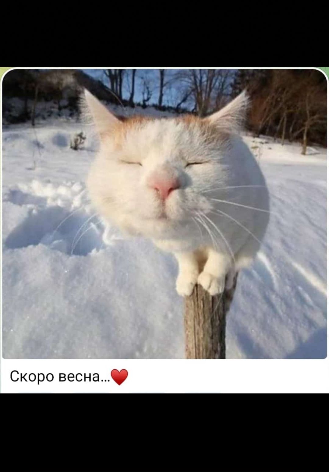 Скоро весна Ф