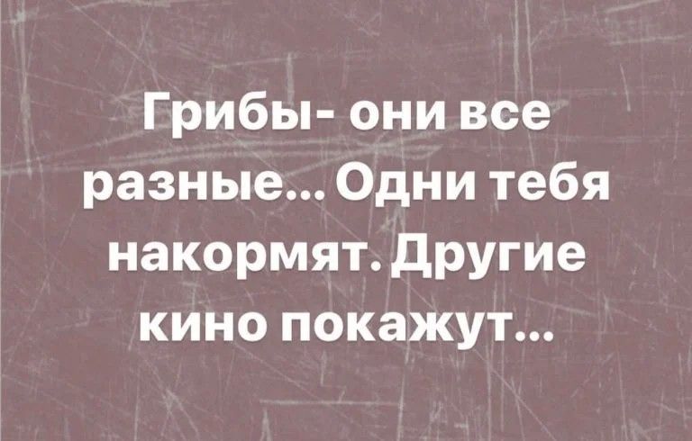 Грибы они все разные Одни тебя накормят другие кино покажут