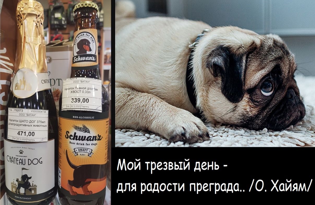Мой трезвый день для радости преграда О Хдйям