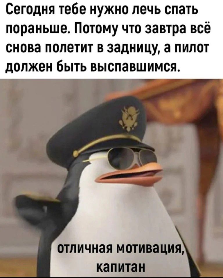 Сегодня тебе нужно лечь спать пораньше Потому что завтра всё снова полетит в задницу а пилот должен быть выспавшимся ШПИЧНЗЯ мотивация