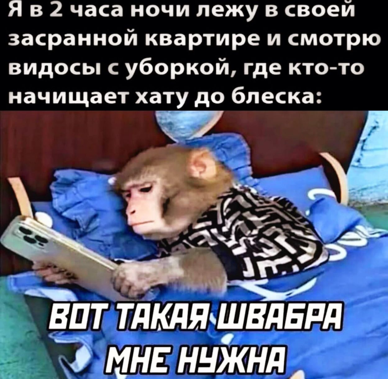 Я в 2 часа ночи пежу в своей засранной квартире и смотрю видосы уборкой где кто то начищает хату до блеска вит тлкдяшвдвпд 3 МНЕ ннжнд