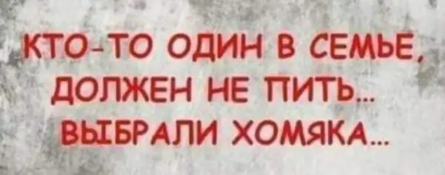 ктото один в семье должен не пить _швмли хомяка