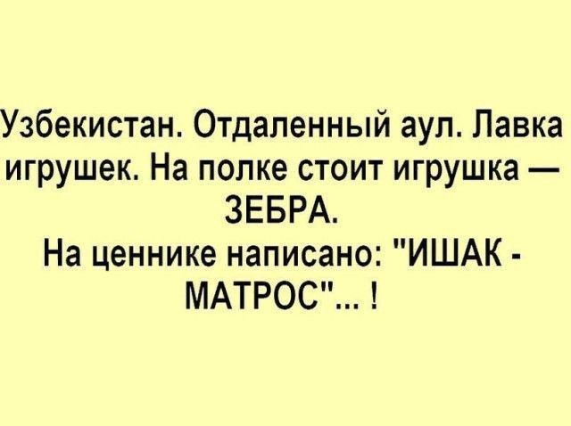 Узбекистан Отдаленный аул Лавка игрушек На попке стоит игрушка ЗЕБРА На ценнике написано ИШАК МАТРОС