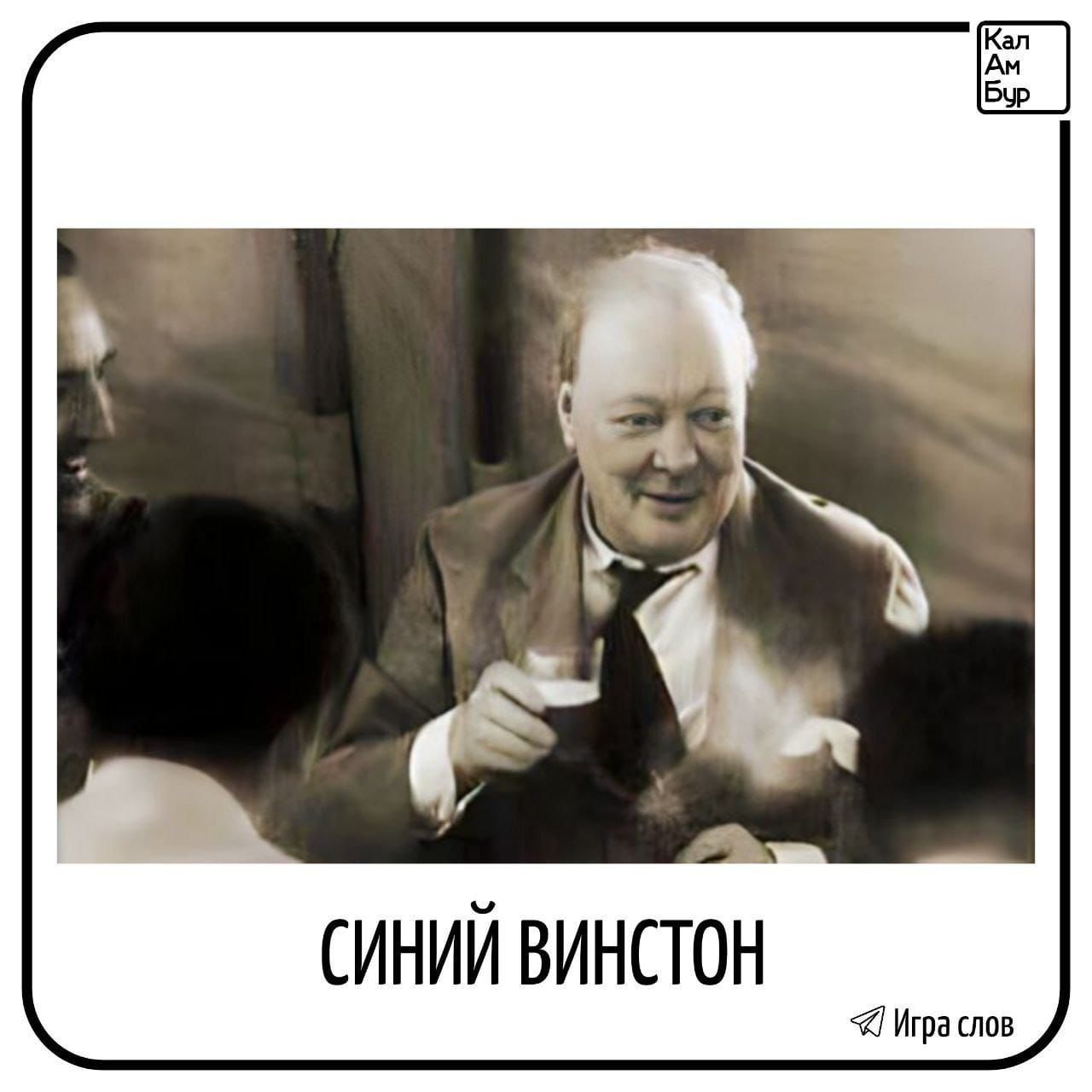 СИНИЙ ВИНСТОН