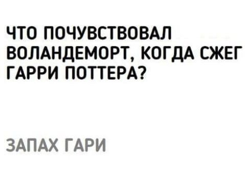 ЧТО ПОЧУВСТВОВАЛ ВОЛАНДЕМОРТ КОГДА СЖЕГ ГАРРИ ПОТТЕРА ЗАПАХ ГАРИ