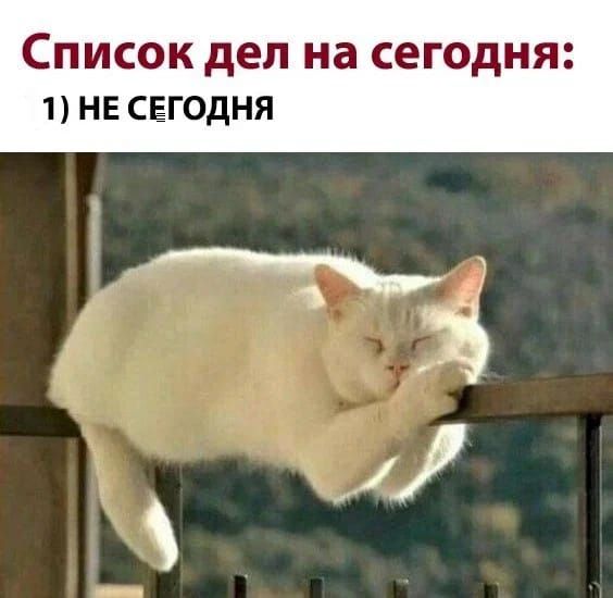 Список дел на сегодня: 1) НЕ СЕГОДНЯ