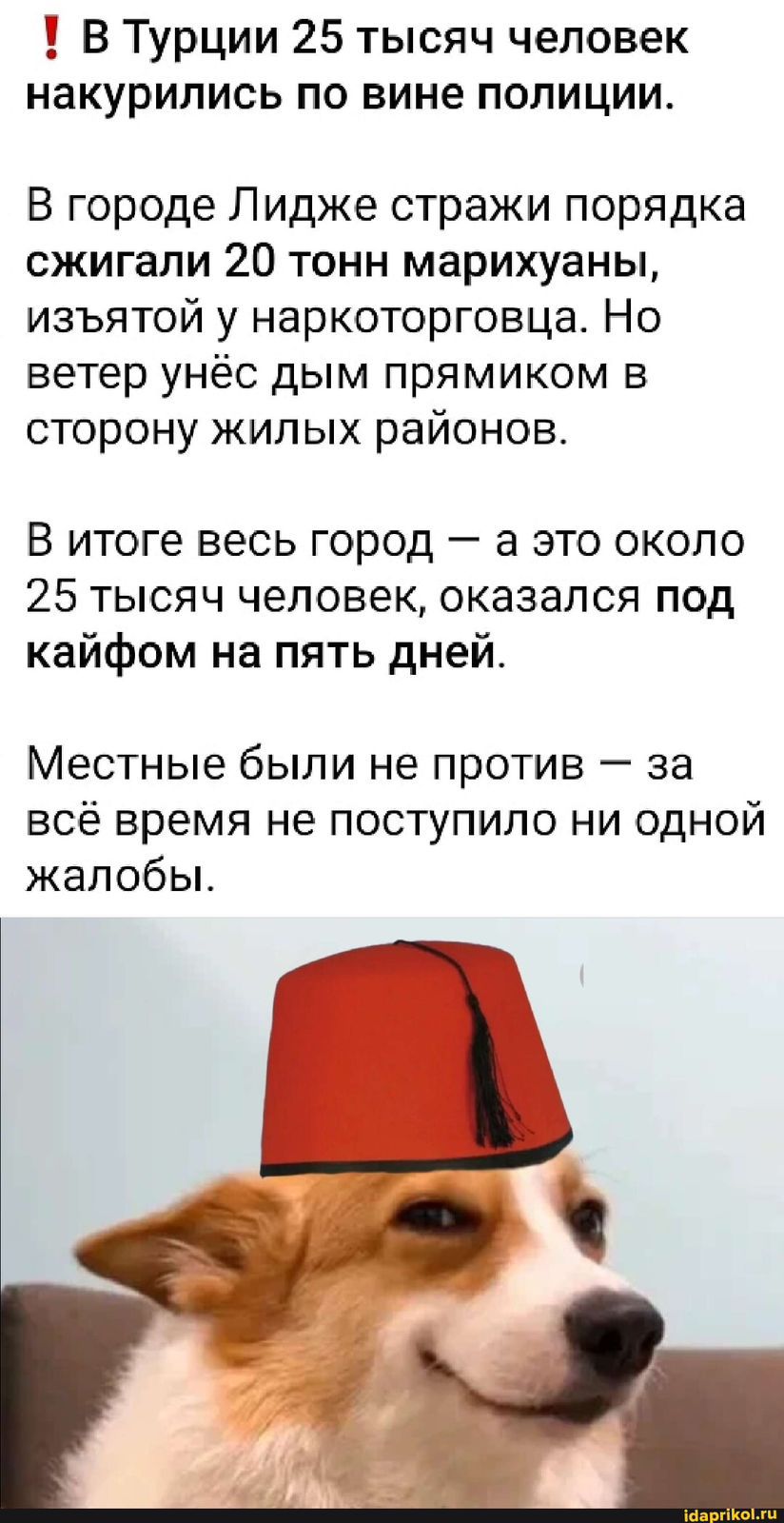 ‼️ В Турции 25 тысяч человек накурились по вине полиции.

В городе Лидже стражи порядка сожгли 20 тонн марихуаны, изъятой у наркоторговца. Но ветер унес дым прямиком в сторону жилых районов.

В итоге весь город — а это около 25 тысяч человек — оказался под кайфом на пять дней.

Местные были не против — за всё время не поступило ни одной жалобы.