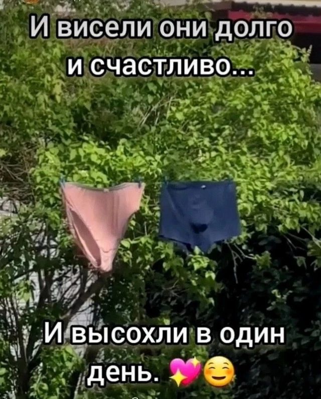 И висели они долго и счастливо...
И высохли в один день.