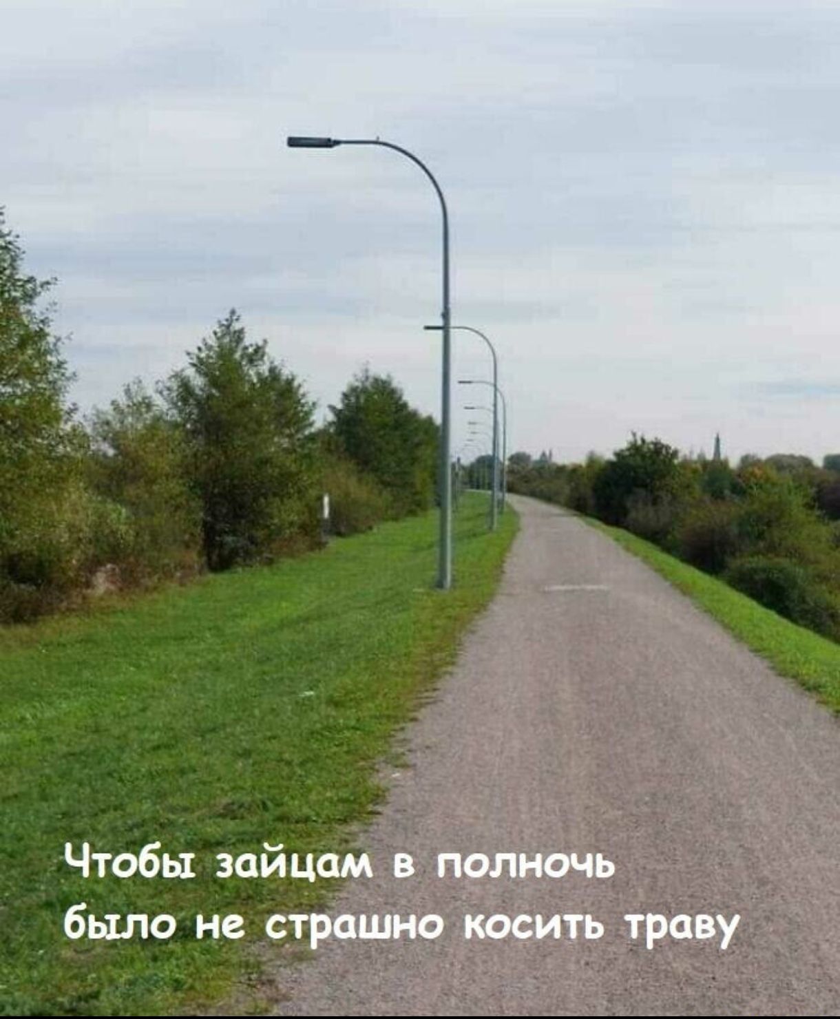 Чтобы зайцам в полночь было не страшно косить траву