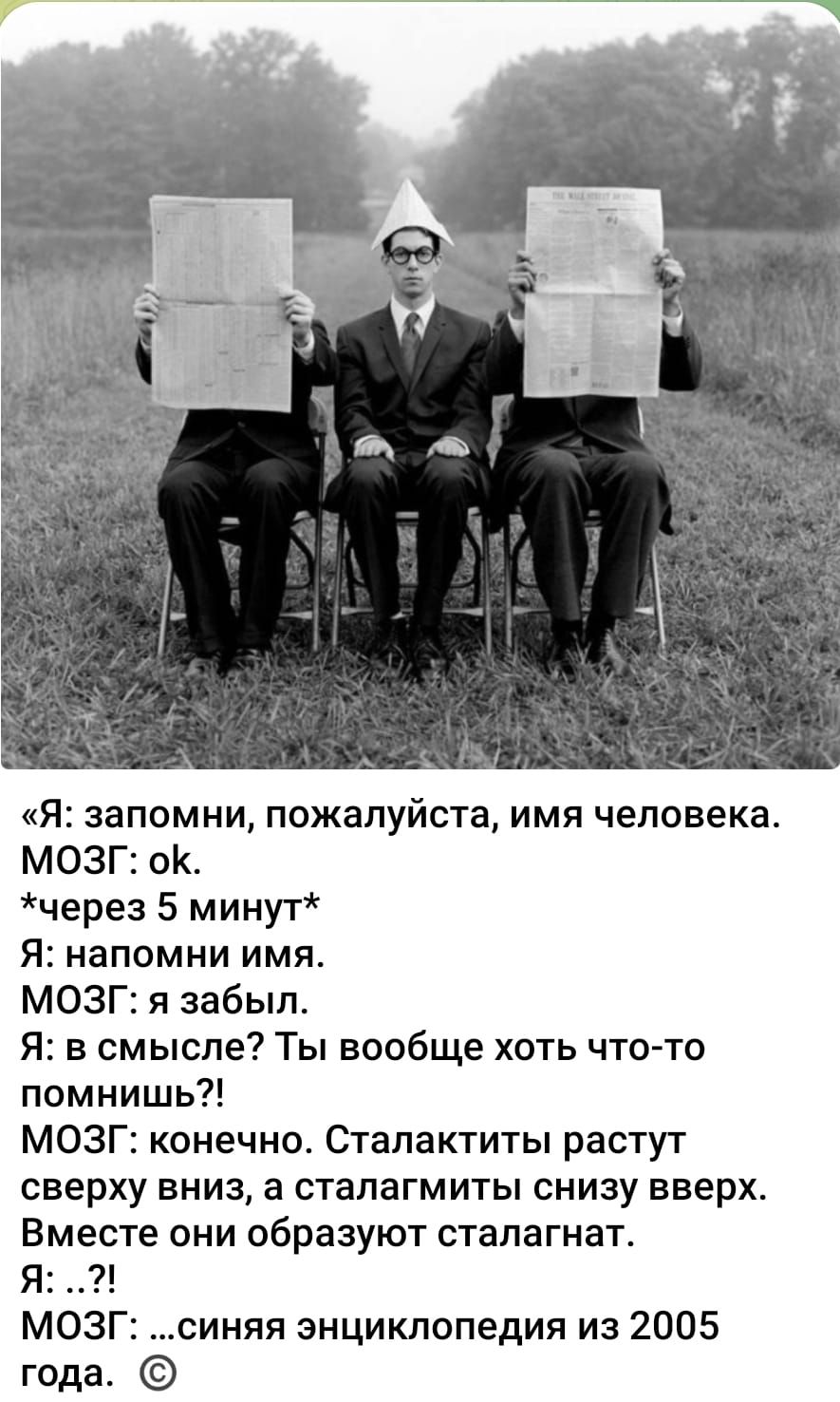 «Я: запомни, пожалуйста, имя человека. МОЗГ: ok. *через 5 минут* Я: напомни имя. МОЗГ: я забыл. Я: в смысле? Ты вообще хоть что-то помнишь?! МОЗГ: конечно. Сталактиты растут сверху вниз, а сталагмиты снизу вверх. Вместе они образуют сталактант. Я: ..?! МОЗГ: …синяя энциклопедия из 2005 года.