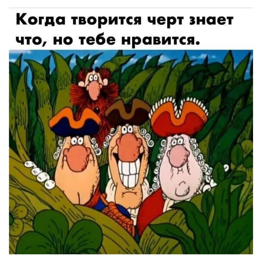 Когда творится черт знает что, но тебе нравится.