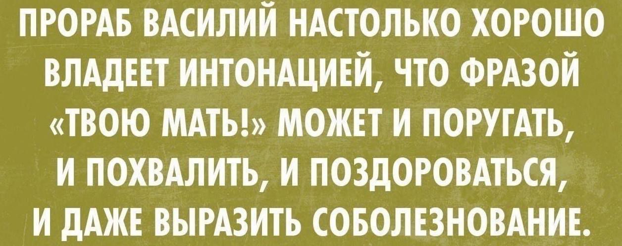 ПРОРАБ ВАСИЛИЙ НАСТОЛЬКО ХОРОШО ВЛАДЕЕТ ИНТОНАЦИЕЙ, ЧТО ФРАЗОЙ «ТВОЮ МАТЫ!» МОЖЕТ И ПОРУГАТЬ, И ПОХВАЛИТЬ, И ПОЗДОРОВАТЬСЯ, И ДАЖЕ ВЫРАЗИТЬ СОБОЛЕЗНОВАНИЕ.