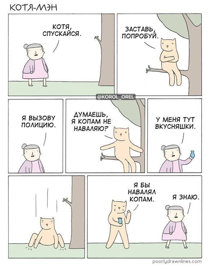 Котя, спускайся.
Заставь, попробуй.
Я вызываю полицию.
Думаешь, я копам не наваляю?
У меня тут вкусняшки.
Я бы наваляла копам.
Я знаю.