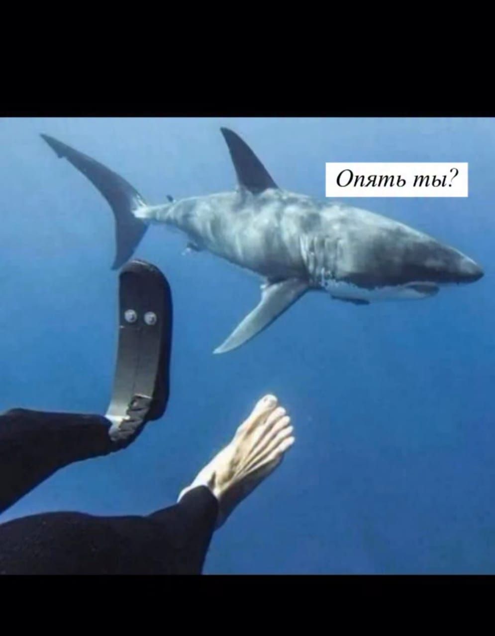 Опять ты?